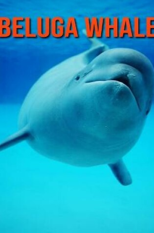 Cover of Beluga Whale