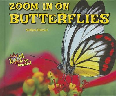Book cover for Zoom in on Butterflies