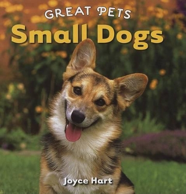 Book cover for Small Dogs