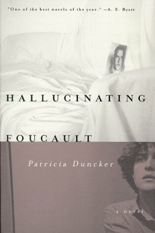 Cover of Hallucinating Foucault