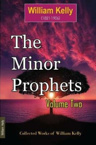 Cover of The Minor Prophets Volume Two