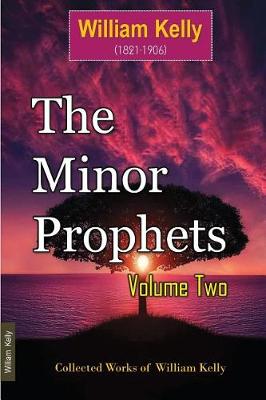 Book cover for The Minor Prophets Volume Two