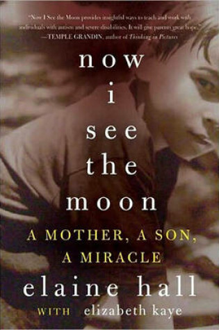 Cover of Now I See the Moon