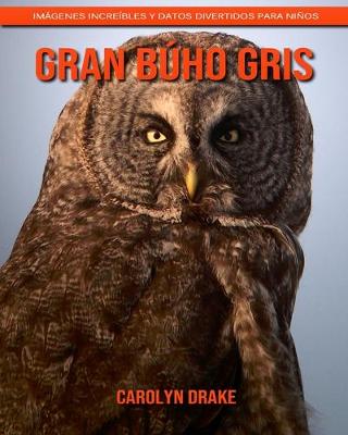 Book cover for Gran búho gris