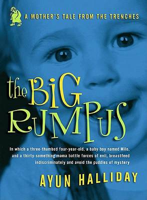 Book cover for The Wild Rumpus