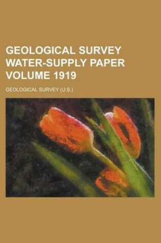 Cover of Geological Survey Water-Supply Paper Volume 1919