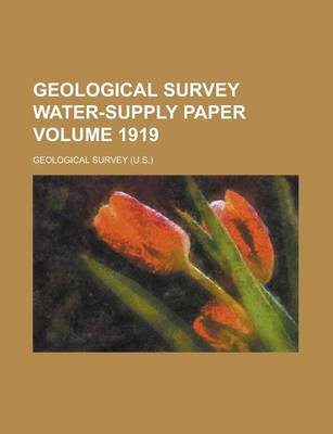 Book cover for Geological Survey Water-Supply Paper Volume 1919