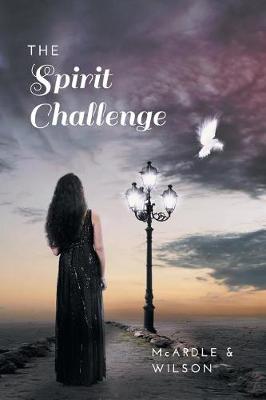 Book cover for The Spirit Challenge