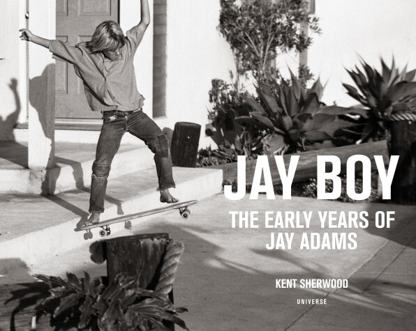 Book cover for Jay Boy