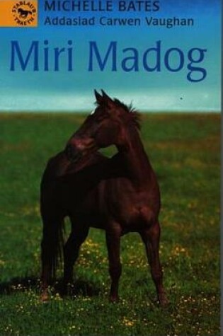 Cover of Cyfres Stablau'r Traeth: Miri Madog