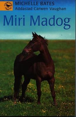 Book cover for Cyfres Stablau'r Traeth: Miri Madog