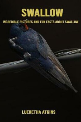 Cover of Swallow