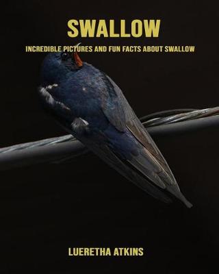 Book cover for Swallow