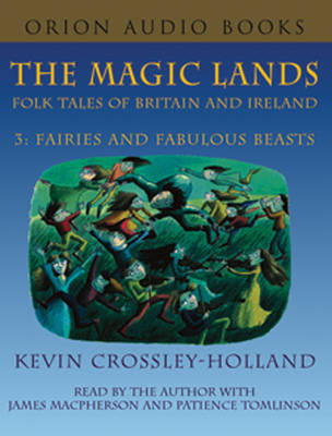 Book cover for Magic Lands