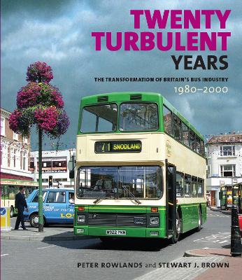 Book cover for Twenty Turbulent Years