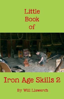 Book cover for Little Book of Iron Age Skills 2