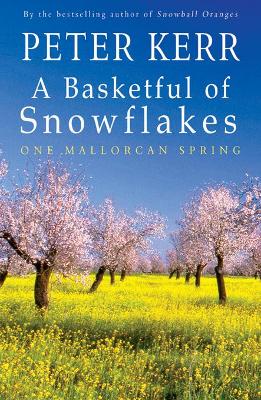 Cover of A Basketful of Snowflakes