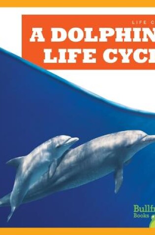 Cover of A Dolphin's Life Cycle