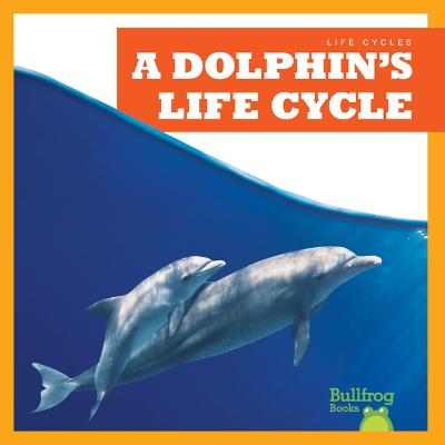 Cover of A Dolphin's Life Cycle