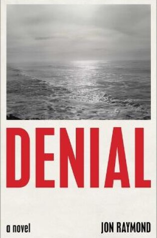 Cover of Denial