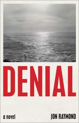 Book cover for Denial