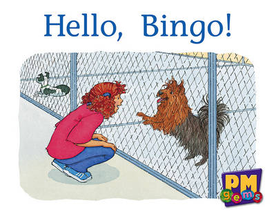 Book cover for Hello, Bingo!