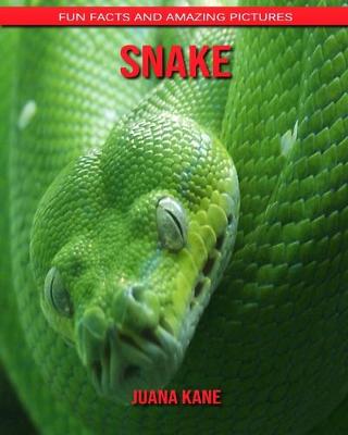 Book cover for Snake