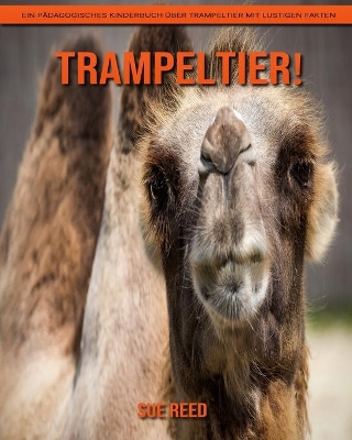 Book cover for Trampeltier! Ein pädagogisches Kinderbuch über Trampeltier mit lustigen Fakten