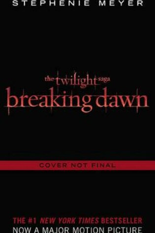 Cover of Breaking Dawn