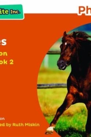 Cover of Read Write Inc. Phonics: Horses (Orange Set 4 Non-fiction 2)