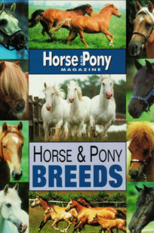 Cover of Horse and Pony Breeds