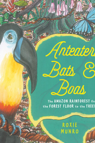 Cover of Anteaters, Bats & Boas