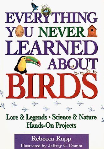 Book cover for Everything You Never Learned About Birds