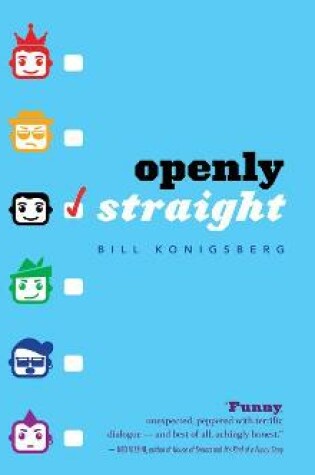 Cover of Openly Straight