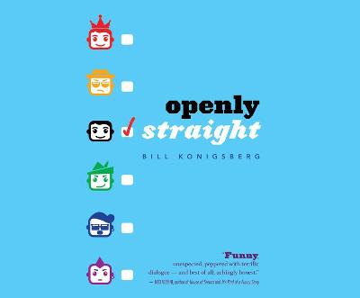 Book cover for Openly Straight