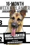 Book cover for 2017-2018 Weekly Planner - Most Wanted German Shepherd