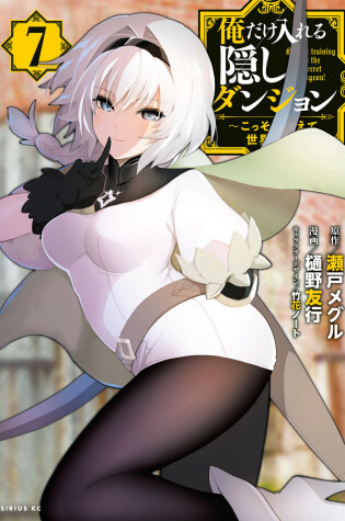 Cover of The Hidden Dungeon Only I Can Enter (Light Novel) Vol. 7