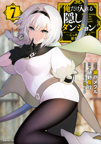 Book cover for The Hidden Dungeon Only I Can Enter (Light Novel) Vol. 7