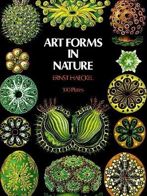 Cover of Art Forms in Nature