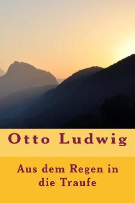 Book cover for Aus dem Regen in die Traufe