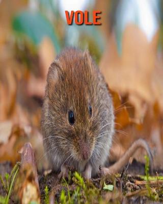 Book cover for Vole