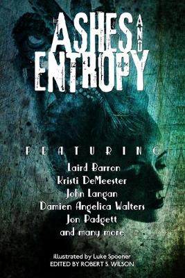 Book cover for Ashes and Entropy