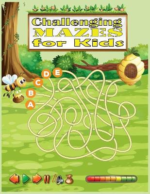 Book cover for Challenging Mazes For Kids