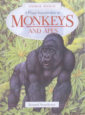 Book cover for A Visual Introduction to Monkeys