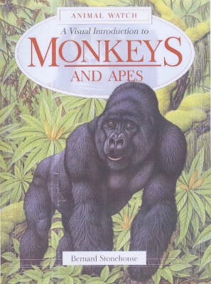 Cover of A Visual Introduction to Monkeys