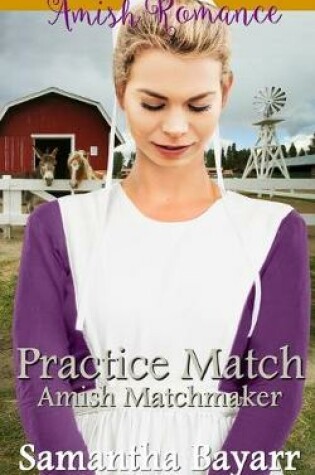 Cover of Amish Matchmaker