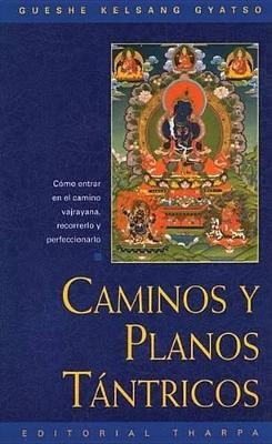 Book cover for Caminos Y Planos Tantricas