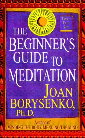 Book cover for The Beginner's Guide to Meditation