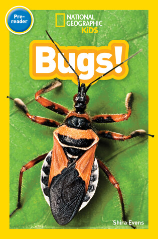 Cover of National Geographic Kids Readers: Bugs (Prereader)