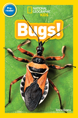 Book cover for National Geographic Kids Readers: Bugs (Prereader)